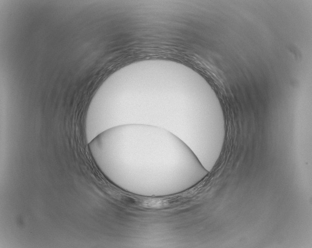 X0000115210225200911181535