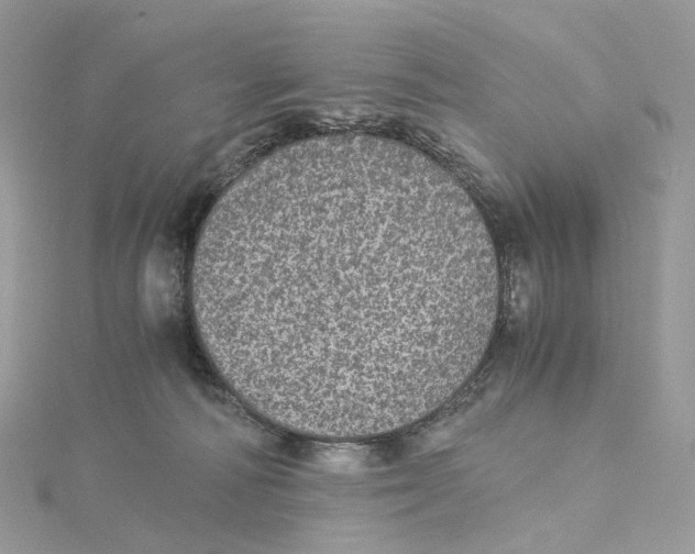 X0000115210226200911181535