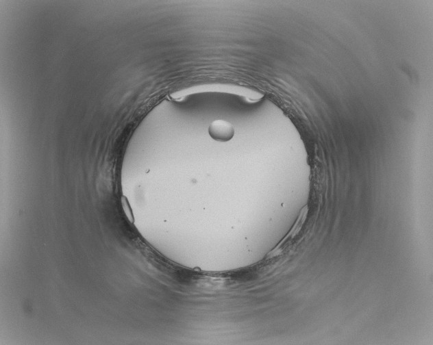 X0000115210227200911181535