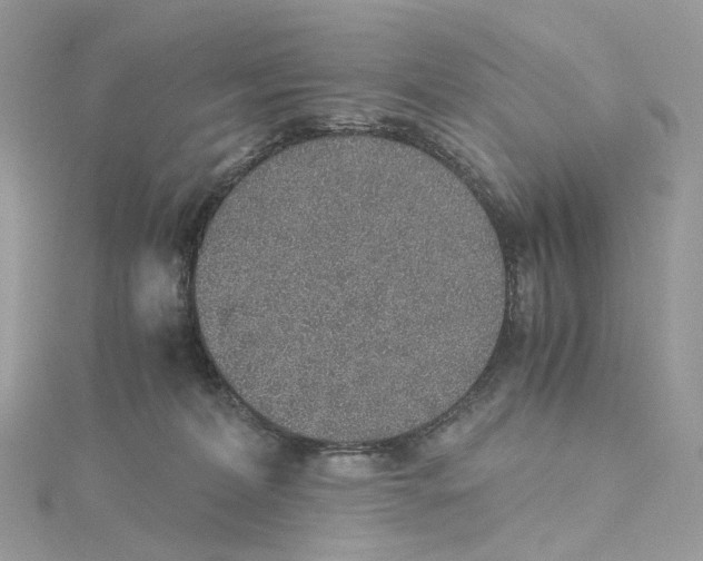 X0000115210228200911181535