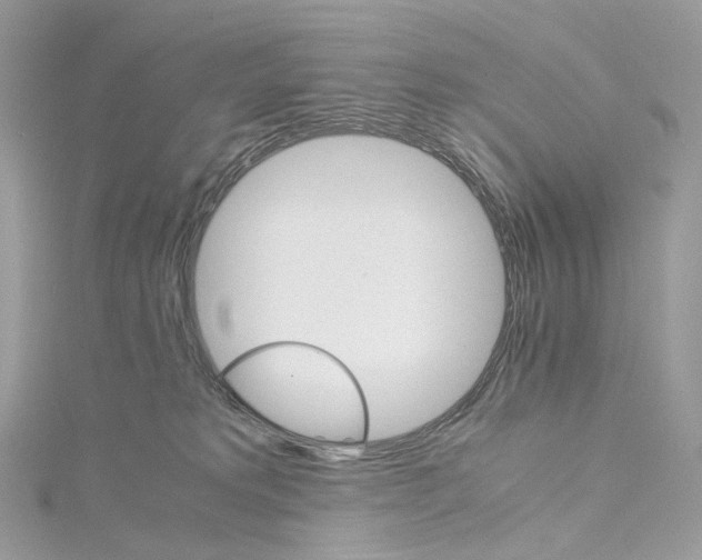 X0000115210229200911181535