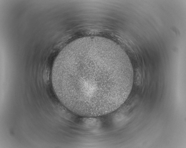 X0000115210230200911181535