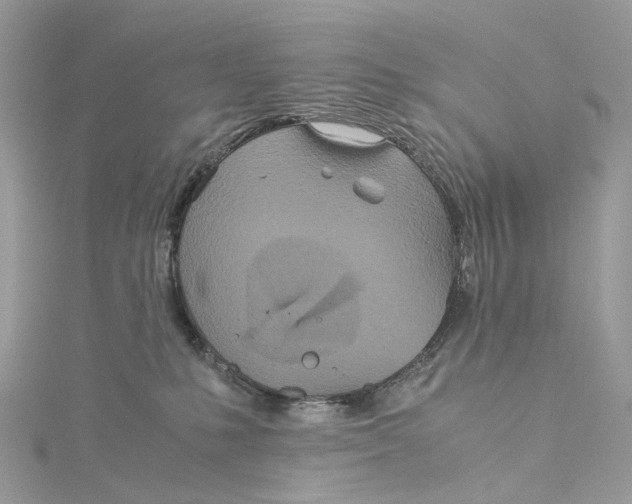 X0000115210231200911181535