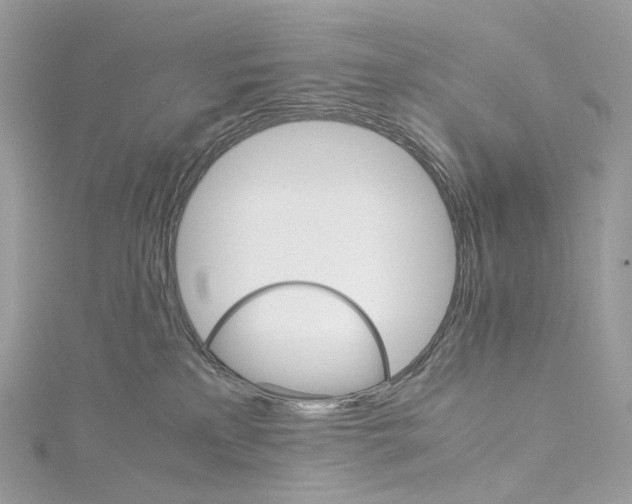 X0000115210233200911181535