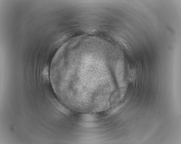 X0000115210238200911181535