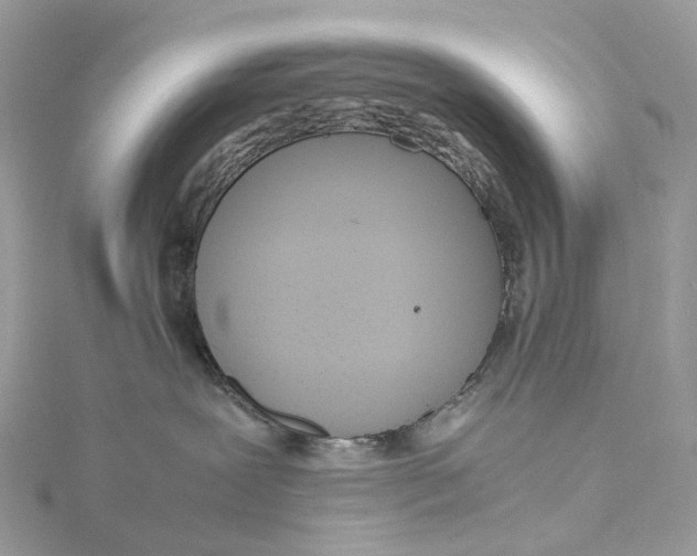 X0000115210239200911181535