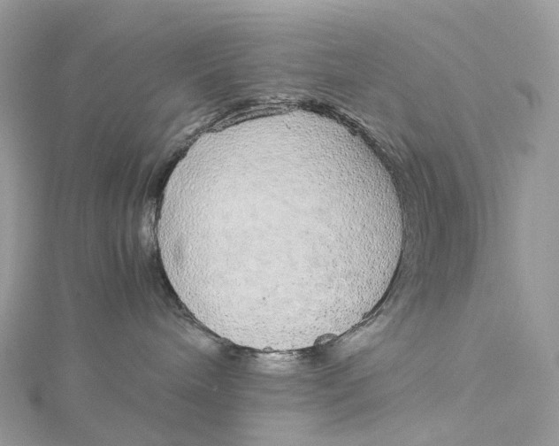 X0000115210240200911181535