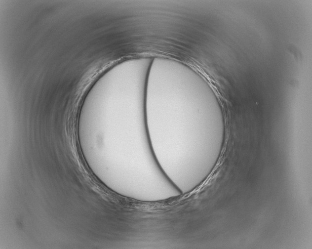 X0000115210241200911181534