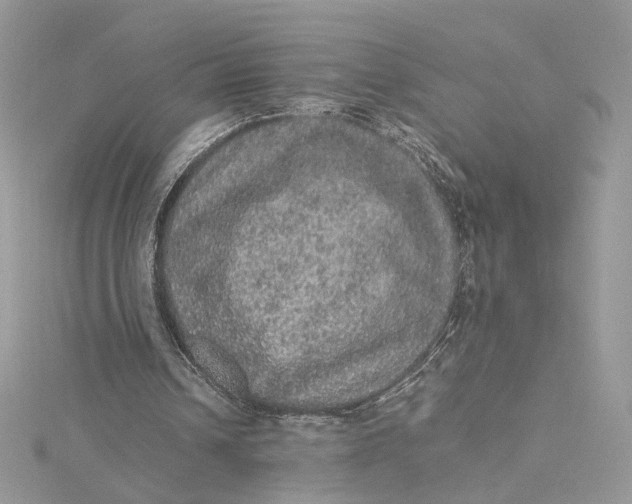 X0000115210242200911181534