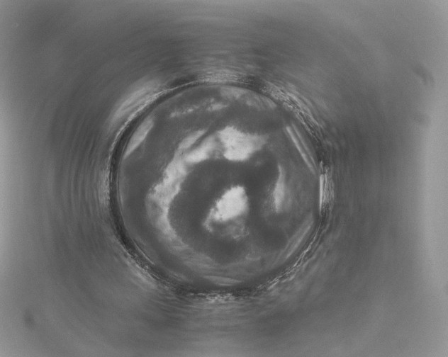 X0000115210243200911181534