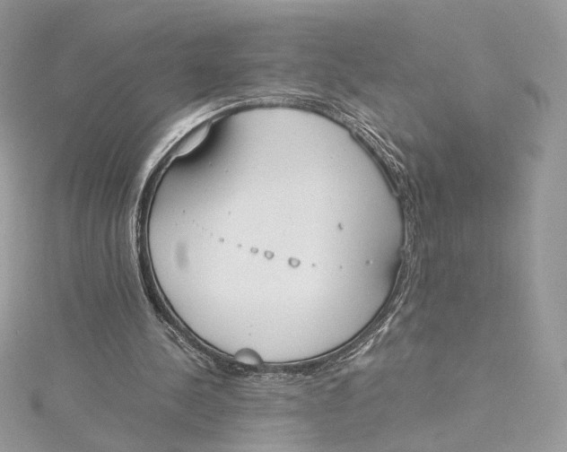 X0000115210244200911181534