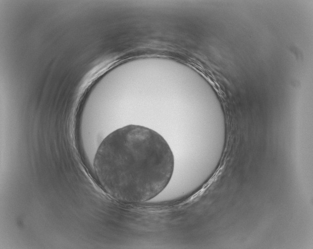 X0000115210245200911181534