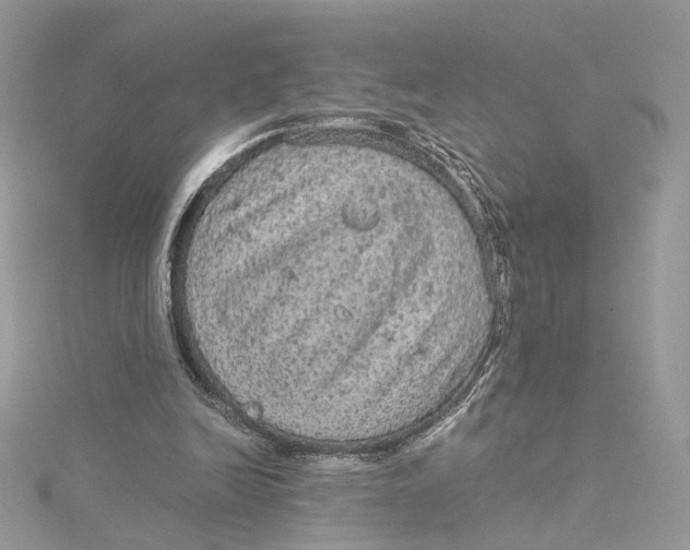 X0000115210246200911181534