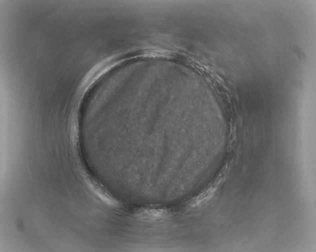 X0000115210247200911181534