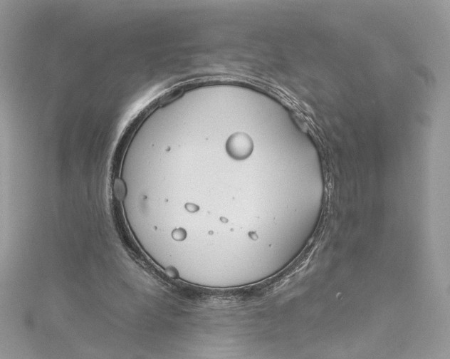 X0000115210248200911181534