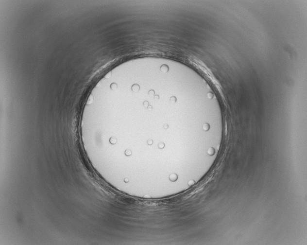 X0000115210249200911181534