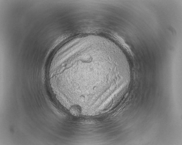 X0000115210250200911181534