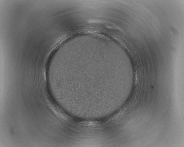 X0000115210254200911181534