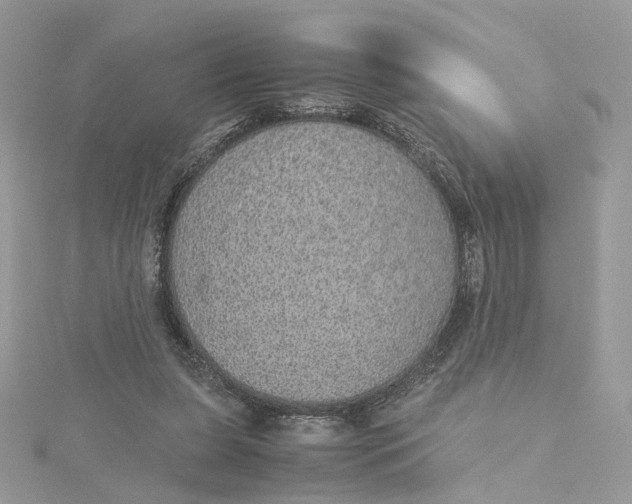 X0000115210255200911181534