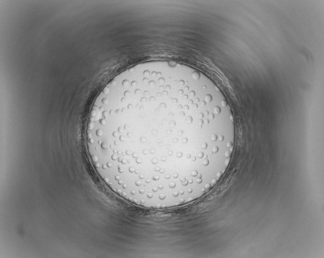 X0000115210257200911181534