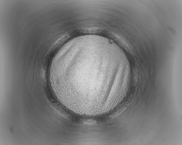 X0000115210258200911181534