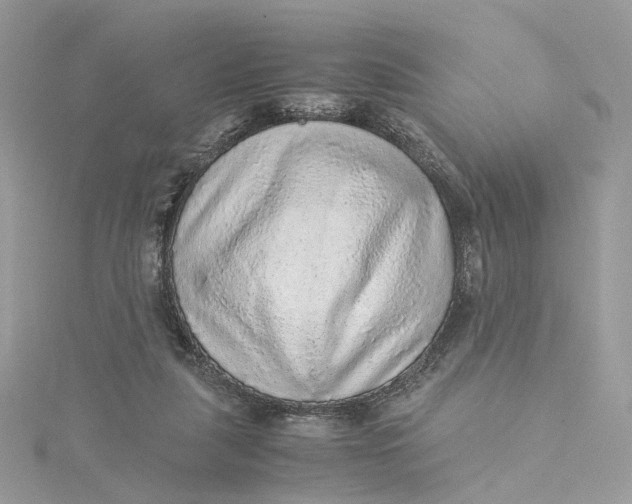 X0000115210259200911181534