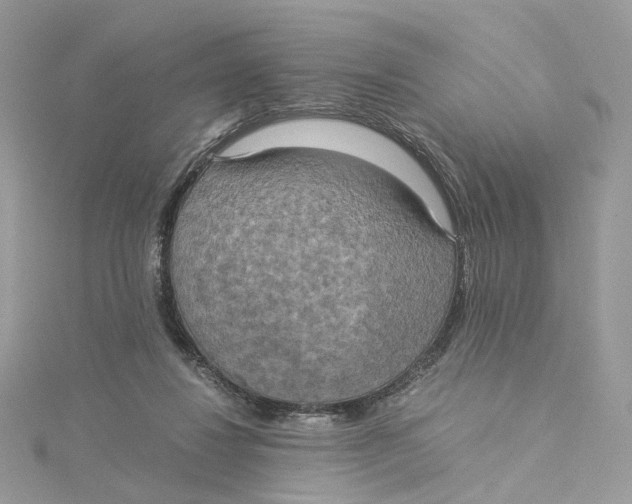 X0000115210260200911181534