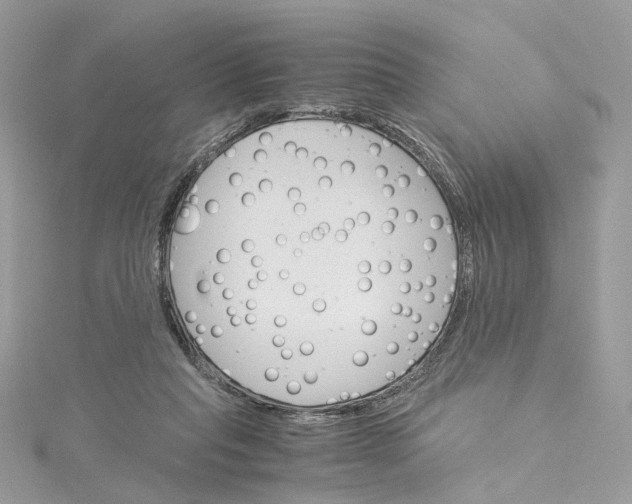 X0000115210261200911181534