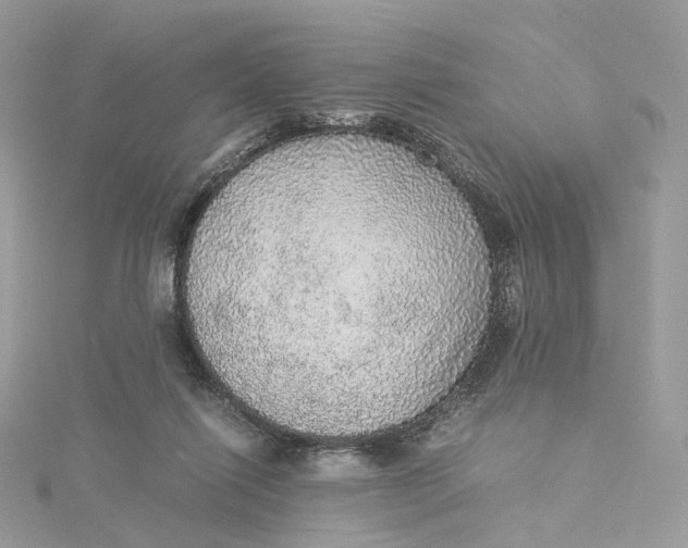 X0000115210262200911181534