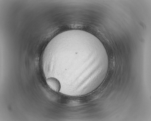 X0000115210263200911181534