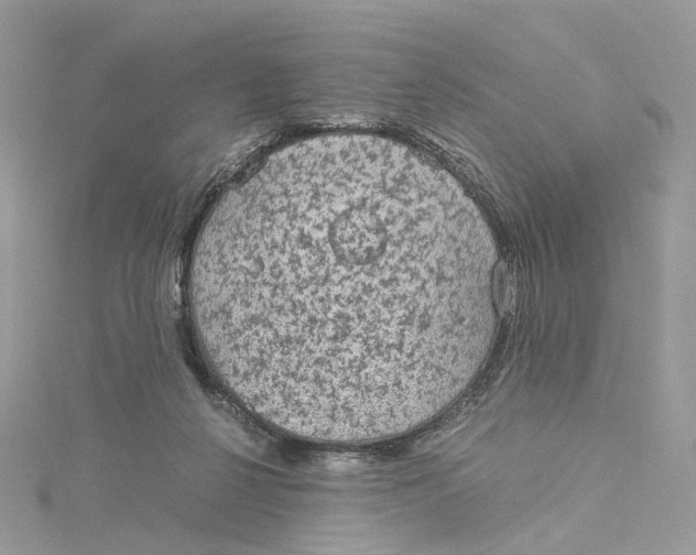 X0000115210264200911181534