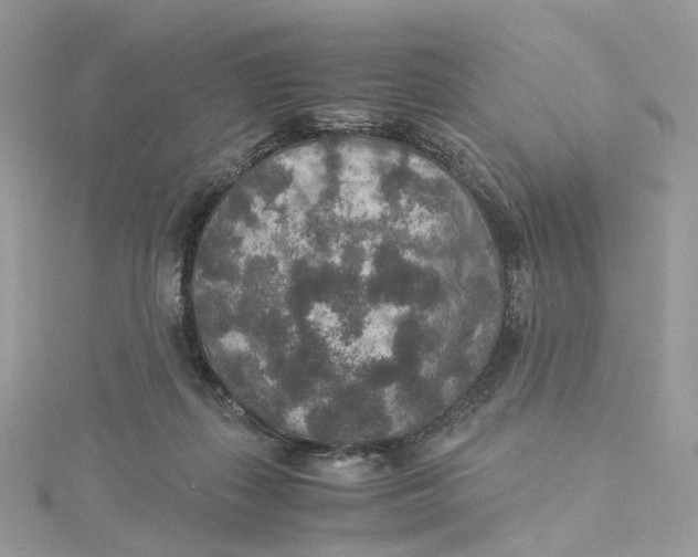 X0000115210267200911181534