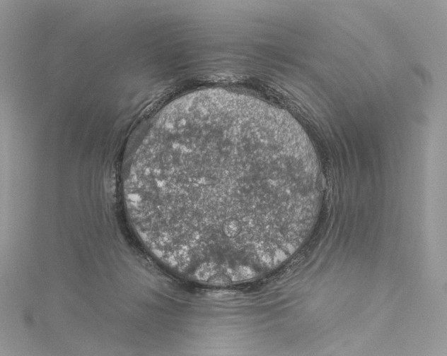 X0000115210268200911181534