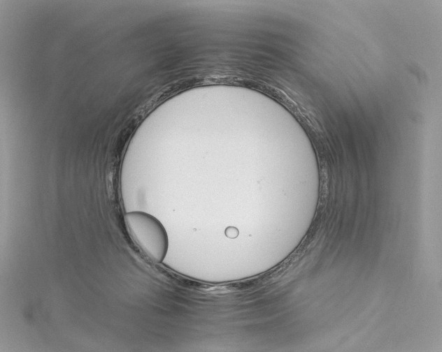 X0000115210269200911181534