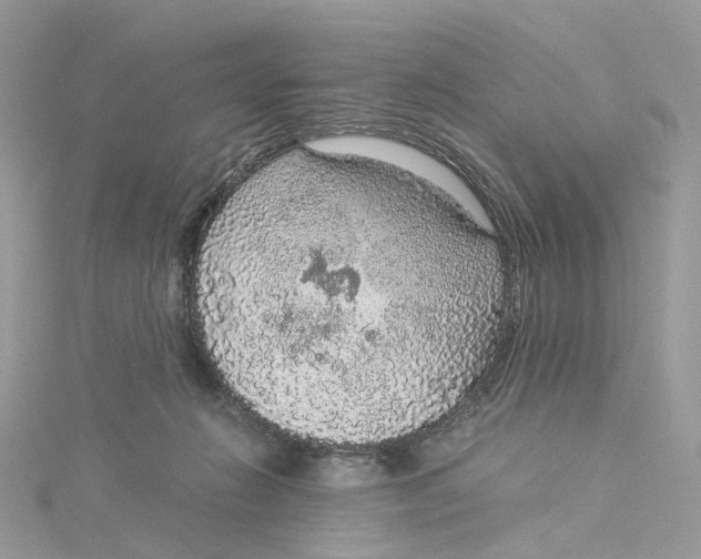 X0000115210270200911181534