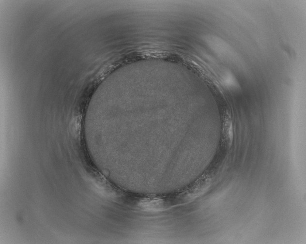 X0000115210271200911181534