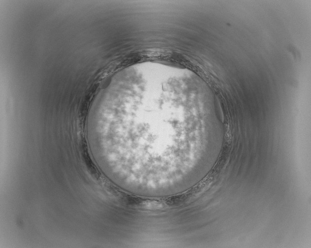 X0000115210272200911181534