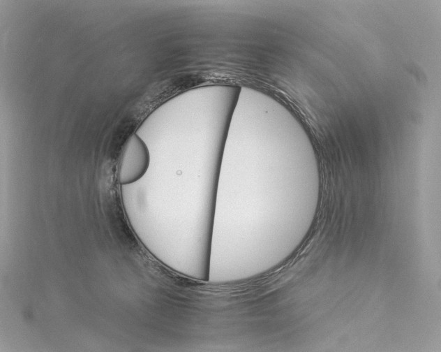 X0000115210273200911181534