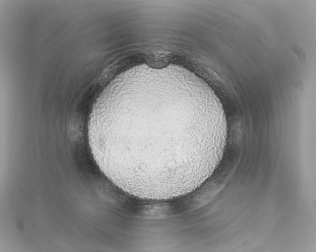 X0000115210274200911181534