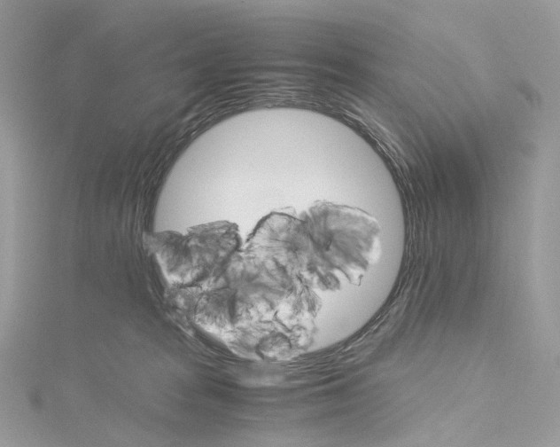 X0000115210277200911181534