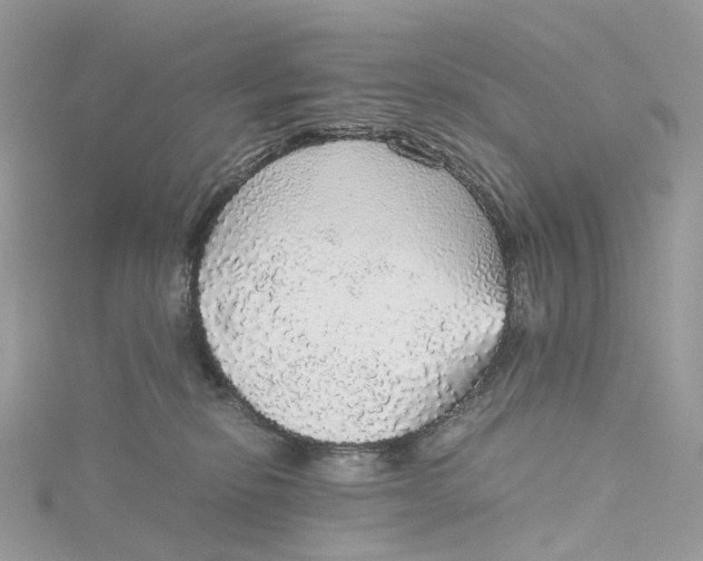 X0000115210278200911181534