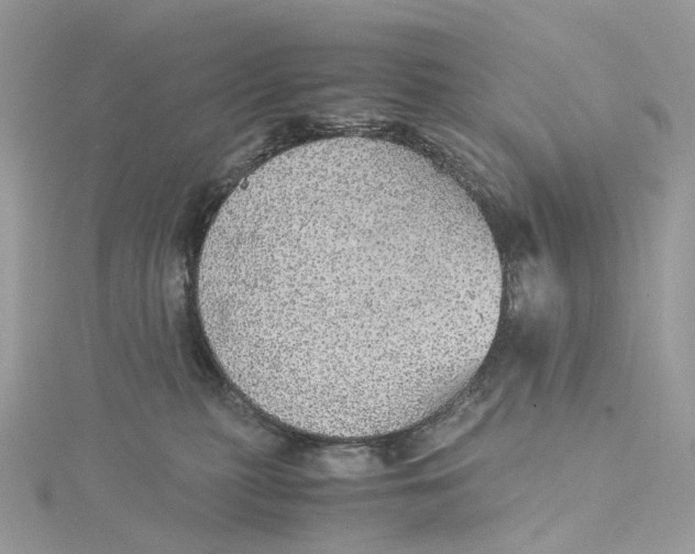 X0000115210279200911181534