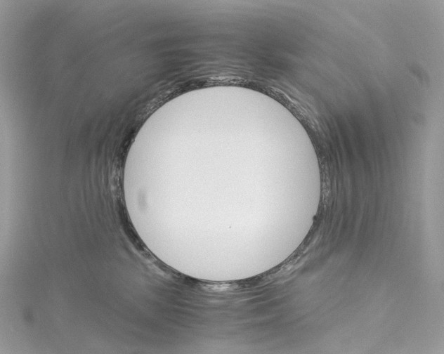 X0000115210281200911181534