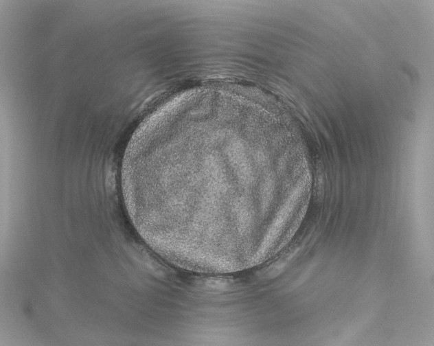 X0000115210282200911181534