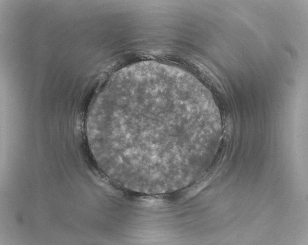 X0000115210284200911181534