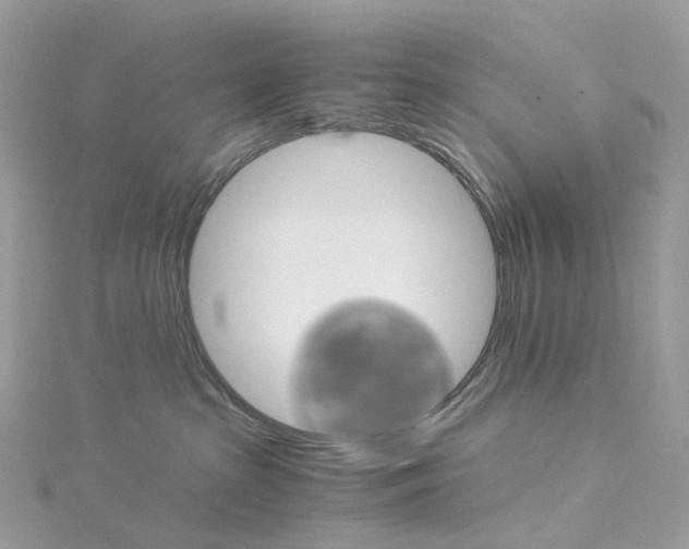 X0000115210285200911181534