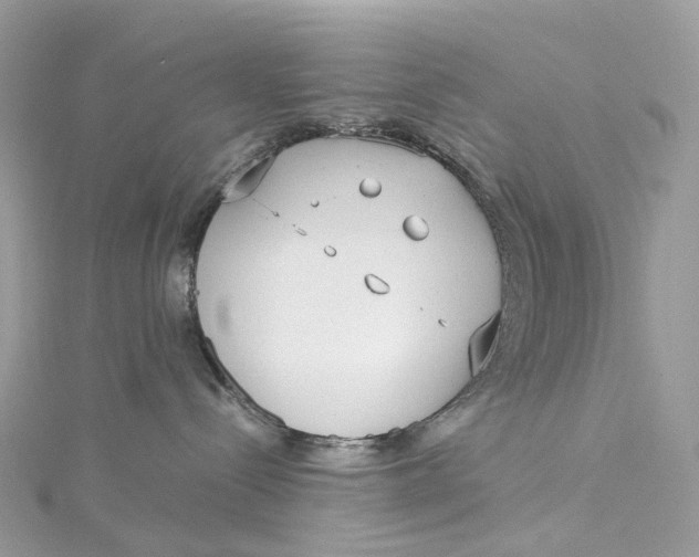 X0000115210288200911181535