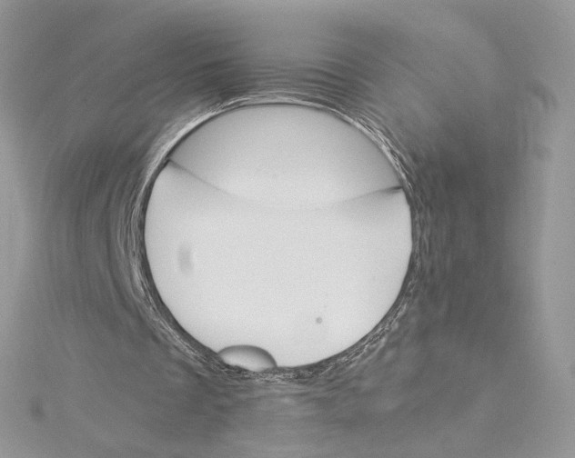 X0000115210289200911181534