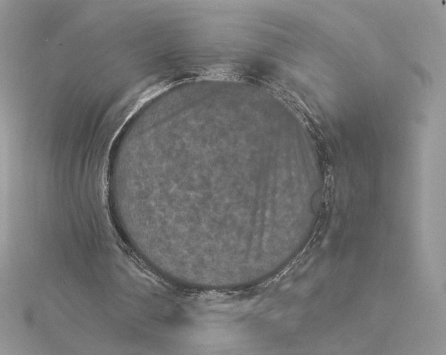 X0000115210290200911181534