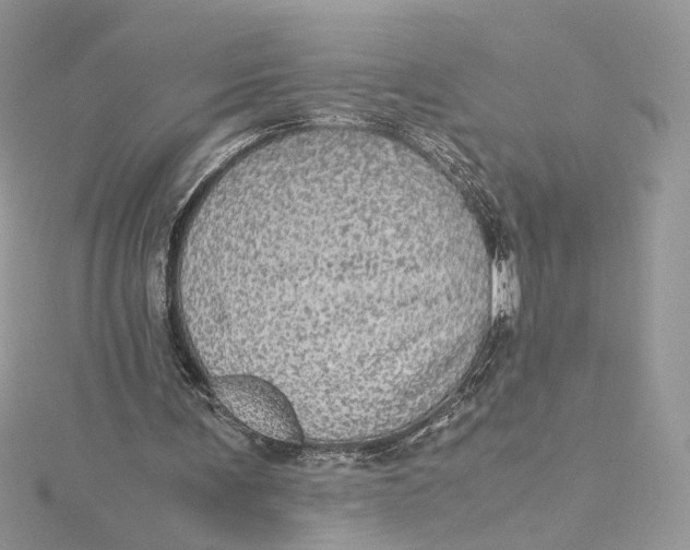 X0000115210291200911181534